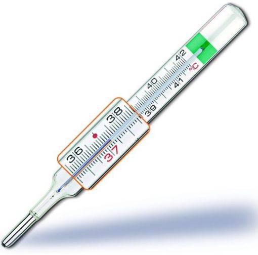 Slika PiC Galijev termometer VedoEco Plus