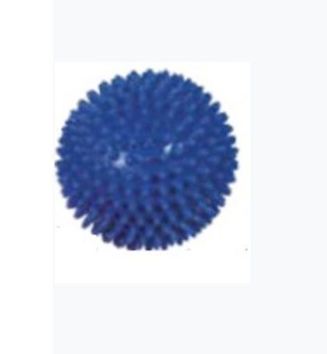 Slika Žogica za masažo modra FI10 cm – ježek