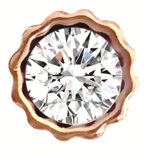 Slika Uhani Biojoux BJT 255 - Swarovski graciozen obroč