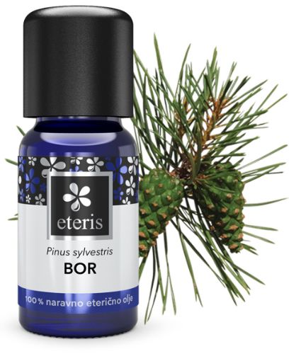 Slika BIO eterično olje-bor, 10ml